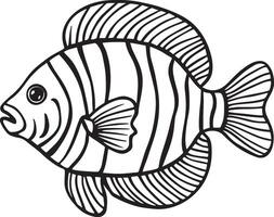 Artwork of Zebrafish vector