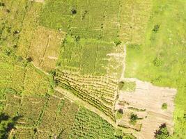 Aerial shot of the slopes of Mount Padakasih located in Cikancung - Indonesia. Forestry Industry. Panoramic Landscape. Graphic Resources. Selective Focus. Aerial Landscape Photography Concept photo