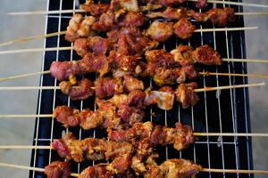 Lamb Satay grilled with Indonesian Maranggi Seasoning. Lamb meat is skewered with bamboo sticks and then grilled over charcoal. Delicious Foods. Indonesian Gourmet. Traditional Cuisine. Food photo