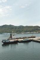 Boats docked in harbor with calm water and lush green hills in background on a cloudy day. photo