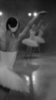 Ballerinas in white tutus, view from backstage. Black and white photos