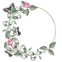 Round frame of rose buds and butterflies in watercolor llustration. Hand drawn watercolor drawing forwedding invitations, congratulations, gifts, memorable dates. Composition isolated from background. png
