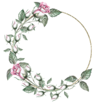 Round frame of delicate rose buds in watercolor illustration. Hand drawn watercolor drawing for wedding invitations, congratulations, gifts, memorable dates. Composition isolated from background. png