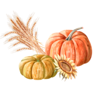 A composition of pumpkins, a bunch of wheat ears and a sunflower painted in watercolor. Illustration on the theme of autumn, for fairs, invitations. The illustration is isolated from the background. png