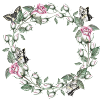 Round frame of rose buds and butterflies in watercolor illustration. Hand drawn watercolor drawing for wedding invitations, congratulations, memorable dates. Composition isolated from background. png