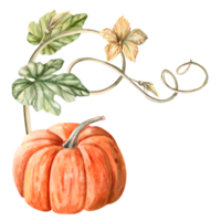Orange pumpkin with leaves, stem and flowers painted in watercolor. Illustration on the theme of harvest, Halloween for printing on fabric, packaging, fairs. Illustration isolated from the background. png