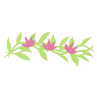 Botanical flower plant png