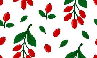 Seamless pattern with barberry. Fresh summer juicy berry background. Flat illustration vector