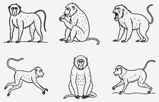 Elegant A-Baboon Line Art - High-Quality, Versatile Design vector