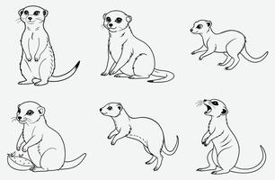 Magnificen, Meerkat Line Art Collection vector