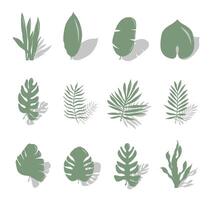 Set of tropical exotic leaves of different types. Green leaves with shadows. Illustration isolated on white background. vector