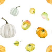 Seamless pattern with orange and white pumpkins and apples, autumn set of elements. Watercolor illustration of pumpkins and apples of different varieties and different shapes. Hand drawn, png