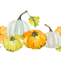 Seamless border with orange and white pumpkins and apples, autumn set of elements. Watercolor illustration of pumpkins and apples of different varieties and different shapes. Hand drawn, png