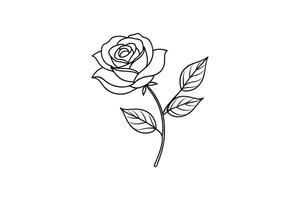 Rose flower for design element and coloring book pages for kids vector