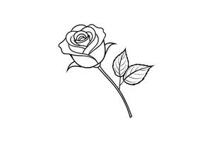 Rose flower for design element and coloring book pages for kids vector