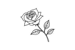 Rose flower for design element and coloring book pages for kids vector