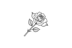 Rose flower for design element and coloring book pages for kids vector
