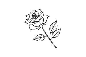 Rose flower for design element and coloring book pages for kids vector