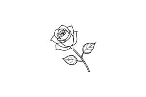 Rose flower for design element and coloring book pages for kids vector