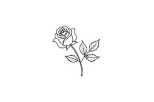 Rose flower for design element and coloring book pages for kids vector