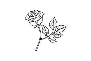 Rose flower for design element and coloring book pages for kids vector