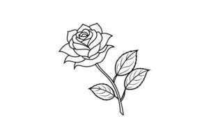 Rose flower for design element and coloring book pages for kids vector