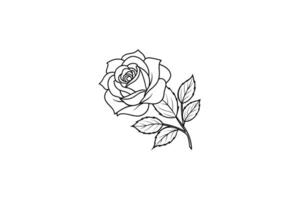 Rose flower for design element and coloring book pages for kids vector
