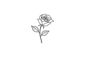 Rose flower for design element and coloring book pages for kids vector