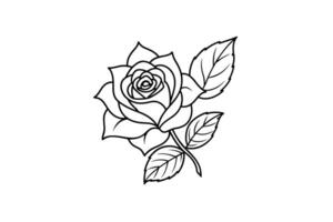 Rose flower for design element and coloring book pages for kids vector