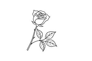 Rose flower for design element and coloring book pages for kids vector