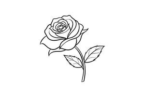 Rose flower for design element and coloring book pages for kids vector