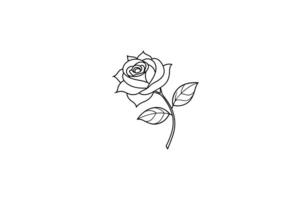Rose flower for design element and coloring book pages for kids vector