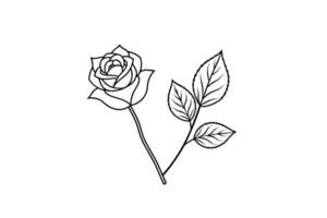 Rose flower for design element and coloring book pages for kids vector