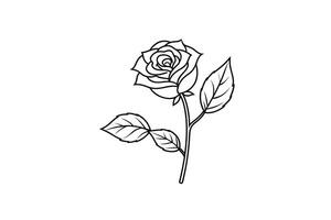 Rose flower for design element and coloring book pages for kids vector