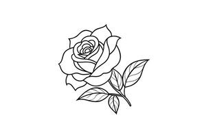 Rose flower for design element and coloring book pages for kids vector