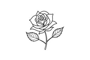 Rose flower for design element and coloring book pages for kids vector