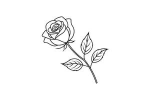 Rose flower for design element and coloring book pages for kids vector