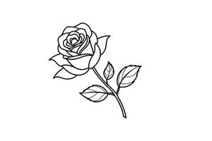 Rose flower for design element and coloring book pages for kids vector