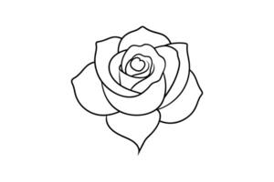 Rose flower for design element and coloring book pages for kids vector