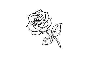 Rose flower for design element and coloring book pages for kids vector