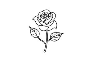 Rose flower for design element and coloring book pages for kids vector