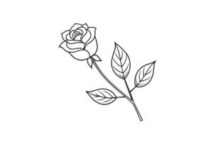 Rose flower for design element and coloring book pages for kids vector