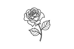 Rose flower for design element and coloring book pages for kids vector