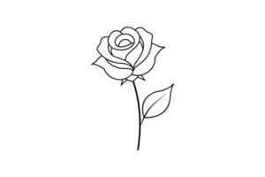 Rose flower for design element and coloring book pages for kids vector
