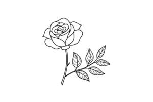 Rose flower for design element and coloring book pages for kids vector