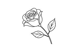 Rose flower for design element and coloring book pages for kids vector