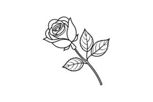Rose flower for design element and coloring book pages for kids vector