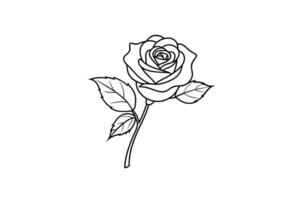 Rose flower for design element and coloring book pages for kids vector