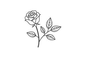 Rose flower for design element and coloring book pages for kids vector
