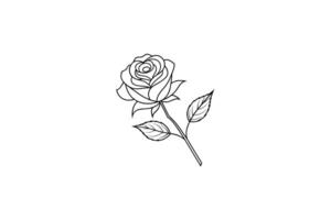 Rose flower for design element and coloring book pages for kids vector